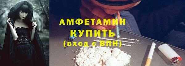 гидра Арсеньев