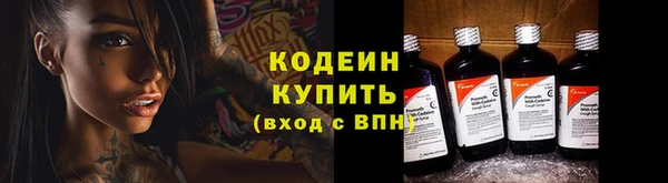 гидра Арсеньев