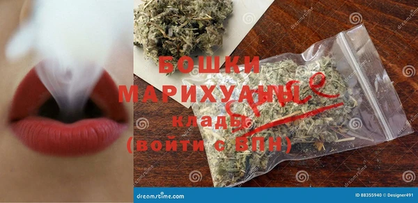 гидра Арсеньев