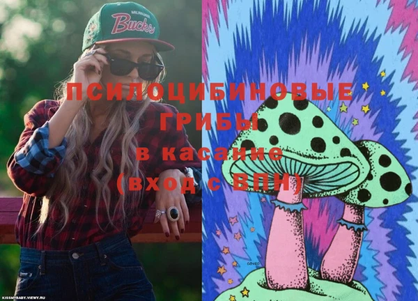 гидра Арсеньев