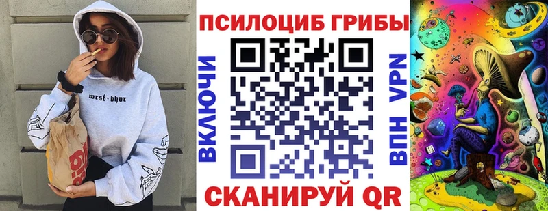 Галлюциногенные грибы Cubensis  наркотики  Няндома 